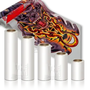 DTF Transfer Film – Hot/Cold Peel | Standard & Premium | Multiple Widths | Free Shipping Nationwide